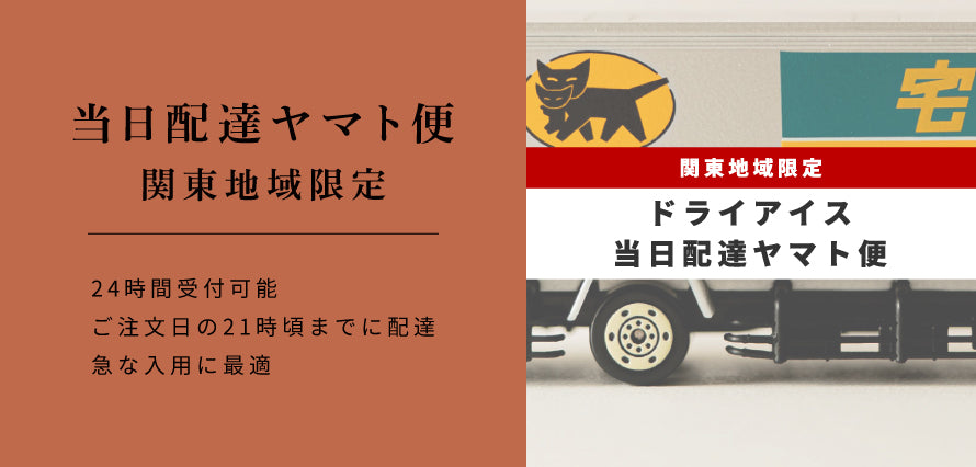 当日ヤマト便(関東地域) ドライアイス